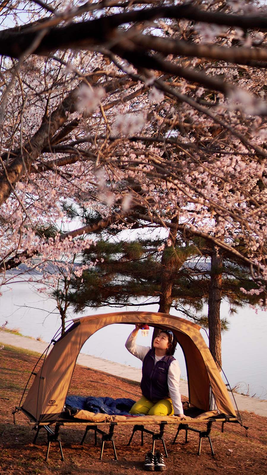 GOGlamping ぐっちゃんさん専用 GOGlamping