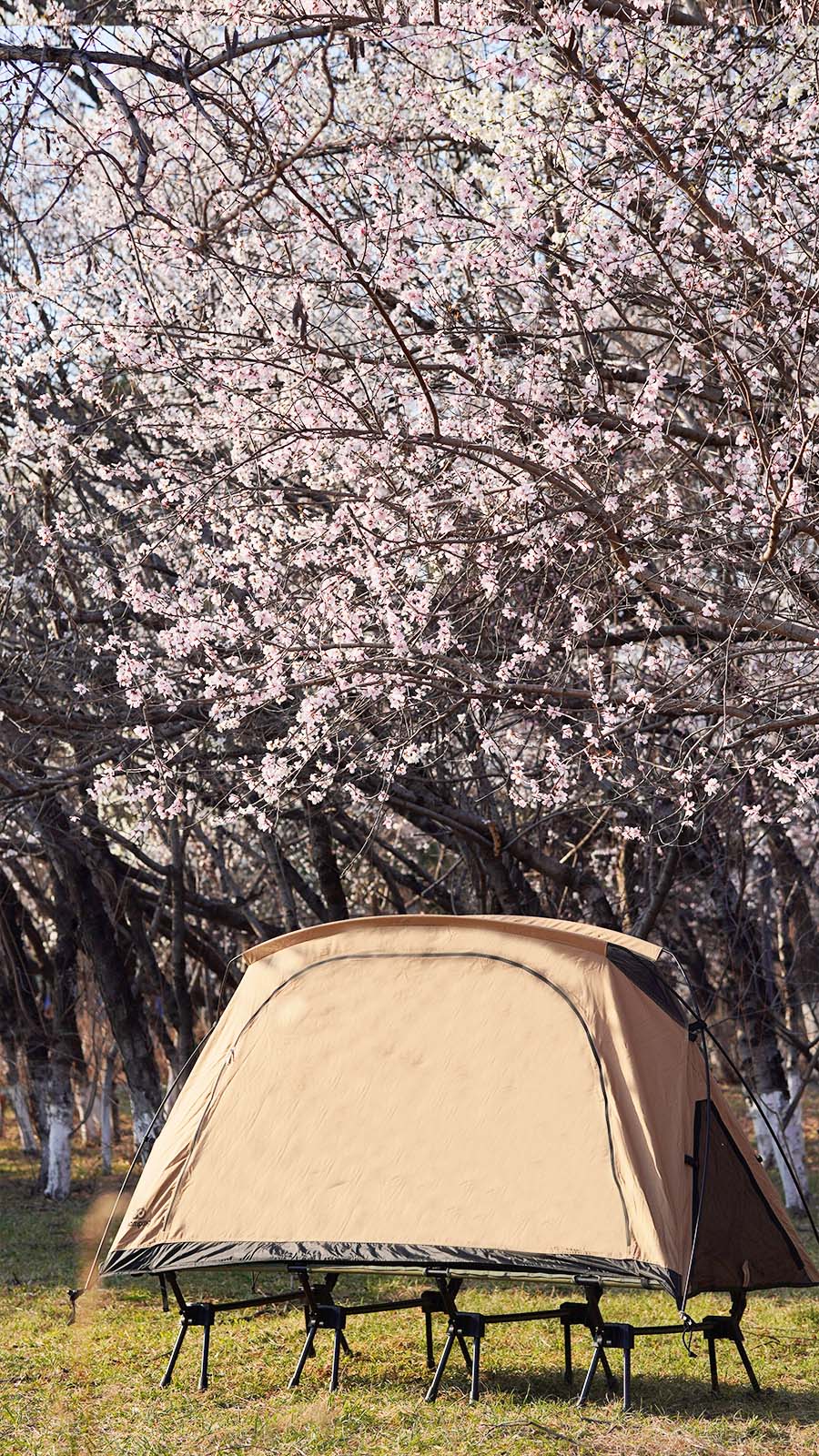 GOGlamping